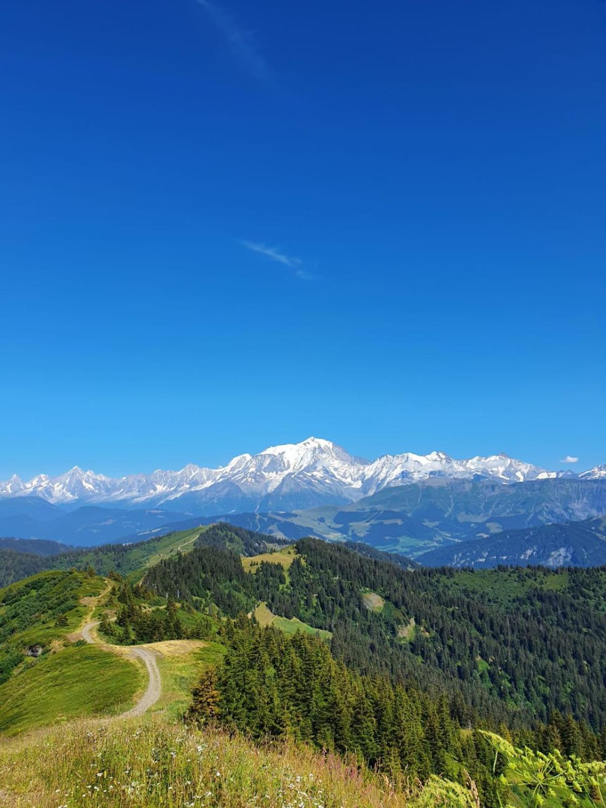 La Duchere 6 Personnes Le Plan La Giettaz Buitenkant foto
