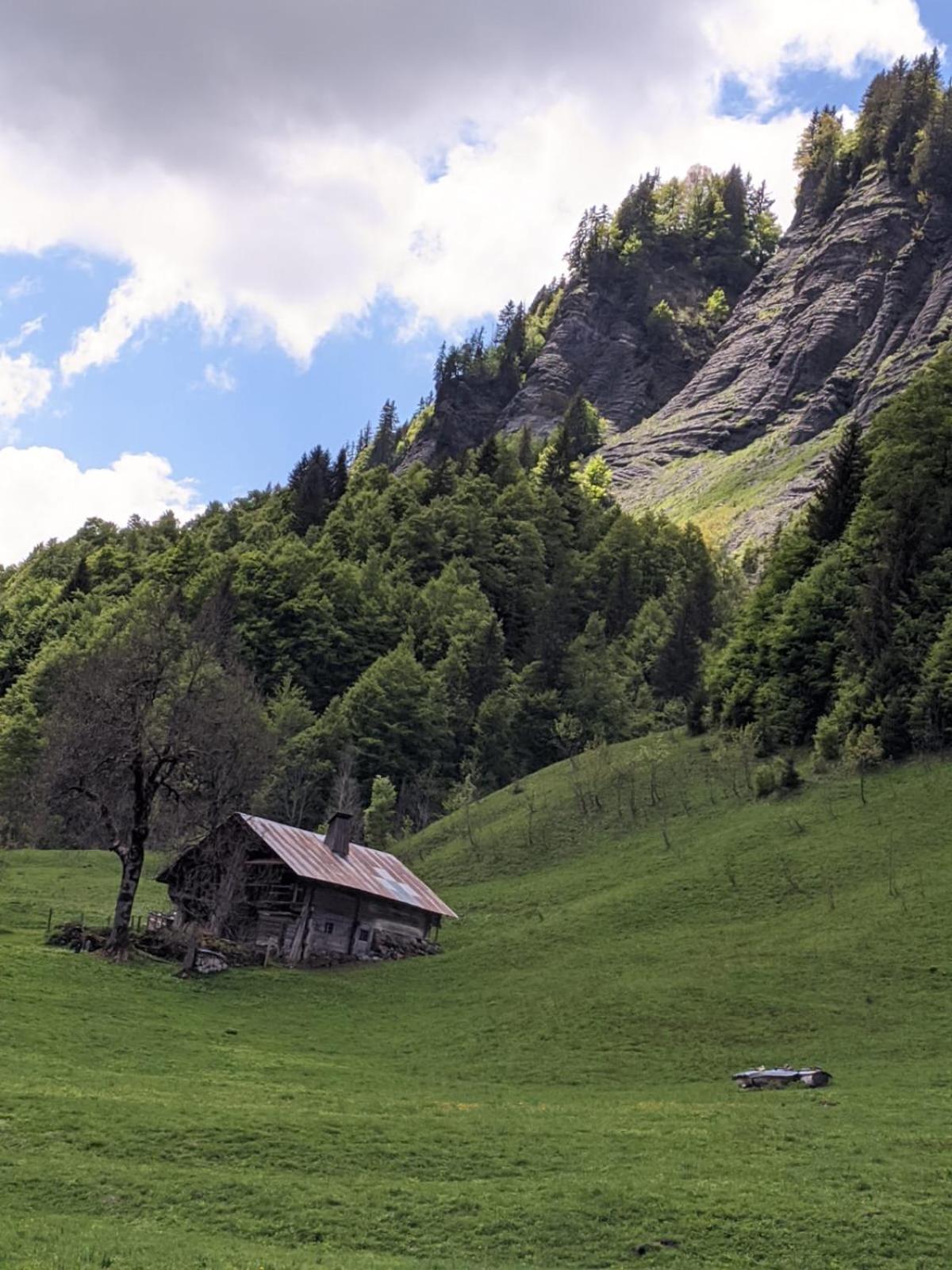 La Duchere 6 Personnes Le Plan La Giettaz Buitenkant foto