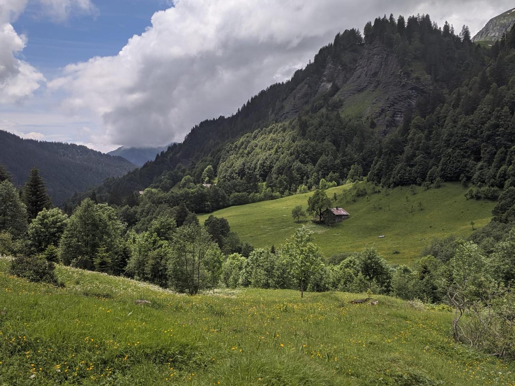 La Duchere 6 Personnes Le Plan La Giettaz Buitenkant foto