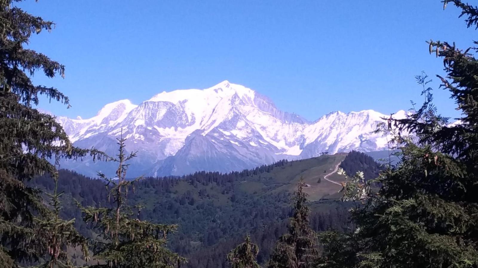 La Duchere 6 Personnes Le Plan La Giettaz Buitenkant foto